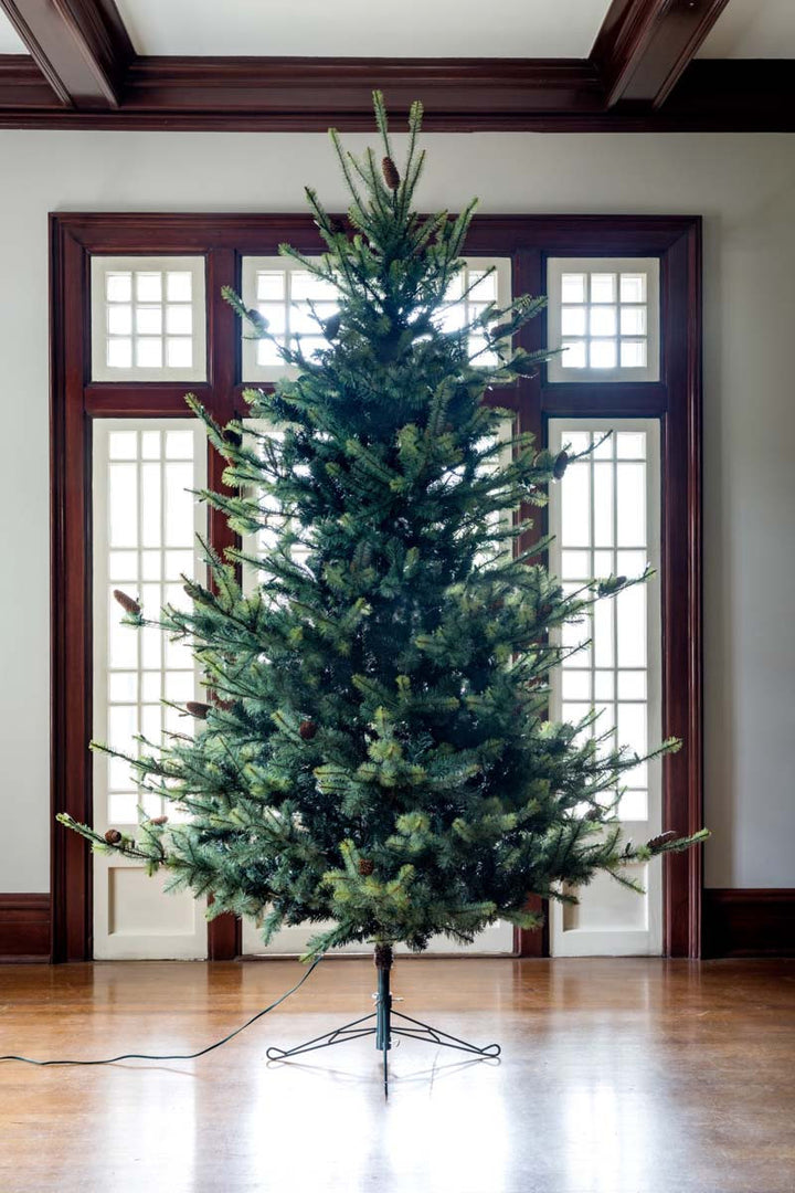 Park Hill Collection Blue Spruce LED Christmas Tree - 9' XPQ82165 | Point Design