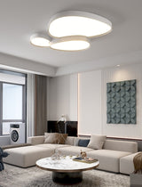 Mounted Ceiling Lights with Irregular Shaped Surface