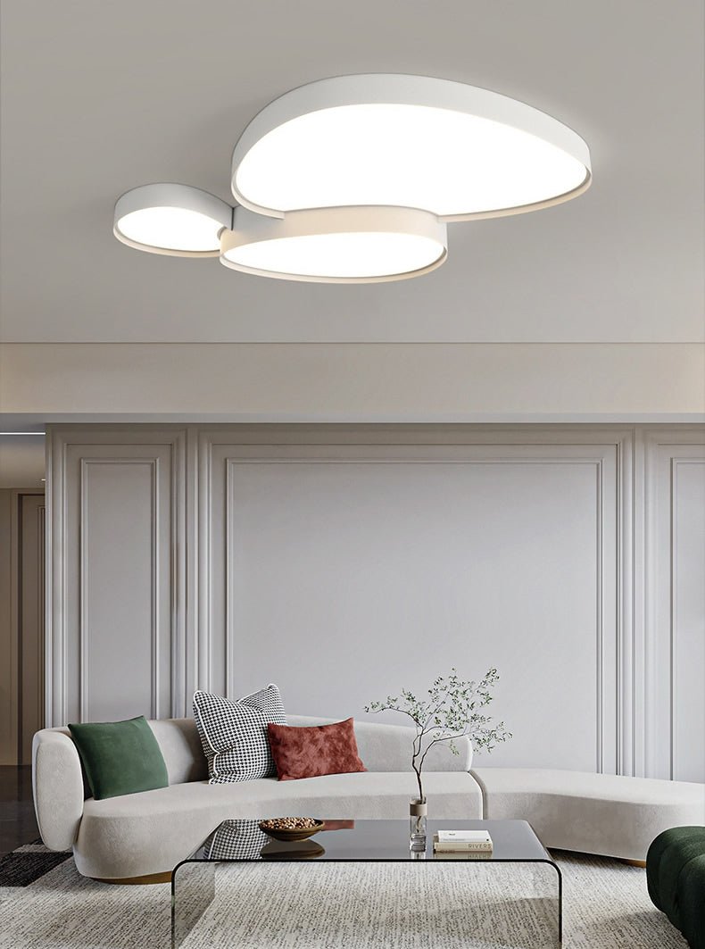 Mounted Ceiling Lights with Irregular Shaped Surface