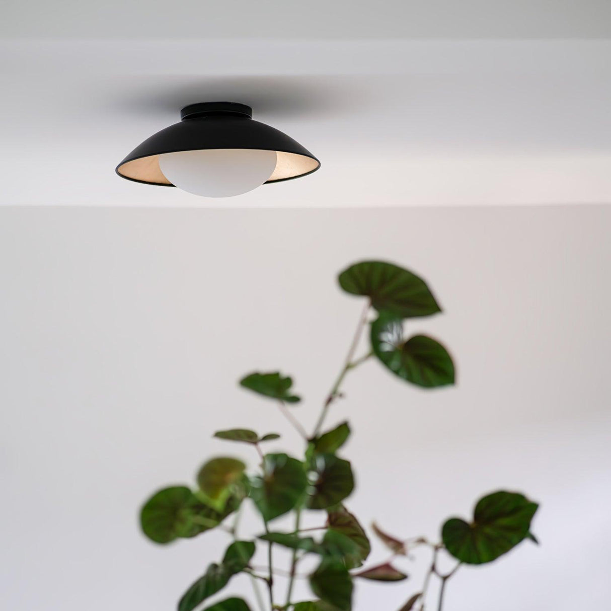 Adelaide Ceiling Lamp