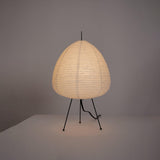 Paper Table Lamp