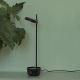 Focal LED Table Lamp