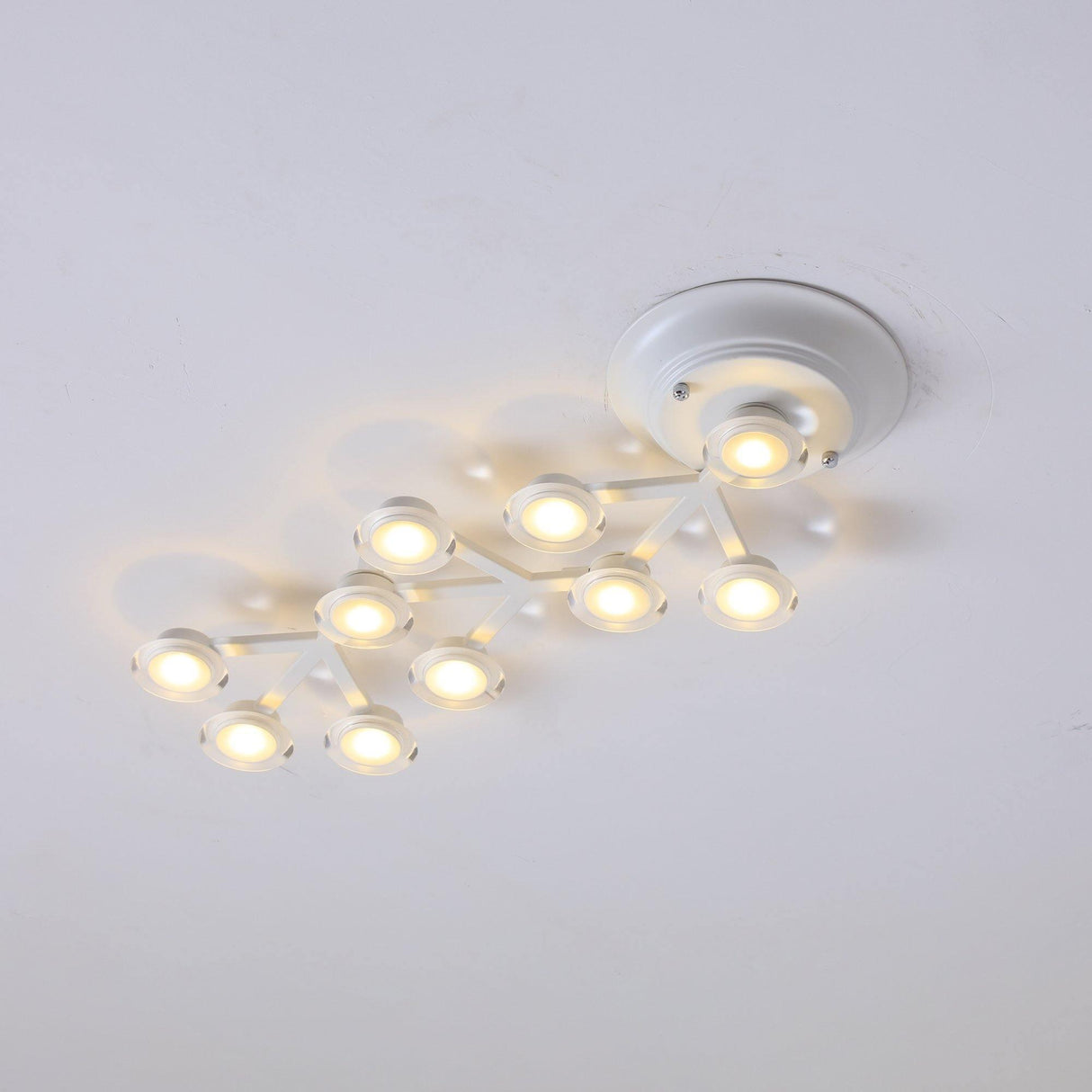 LED Net Ceiling Lamp