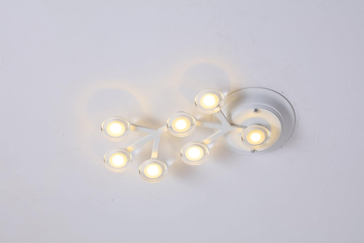 LED Net Ceiling Lamp