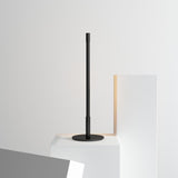 Linear LED Table Lamp