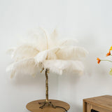 Ostrich Feather Table Lamp