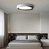 Quinn Ceiling Light