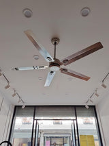 Rozzen Ceiling Fan 52″