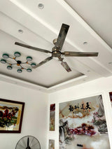 Rozzen Ceiling Fan 52″