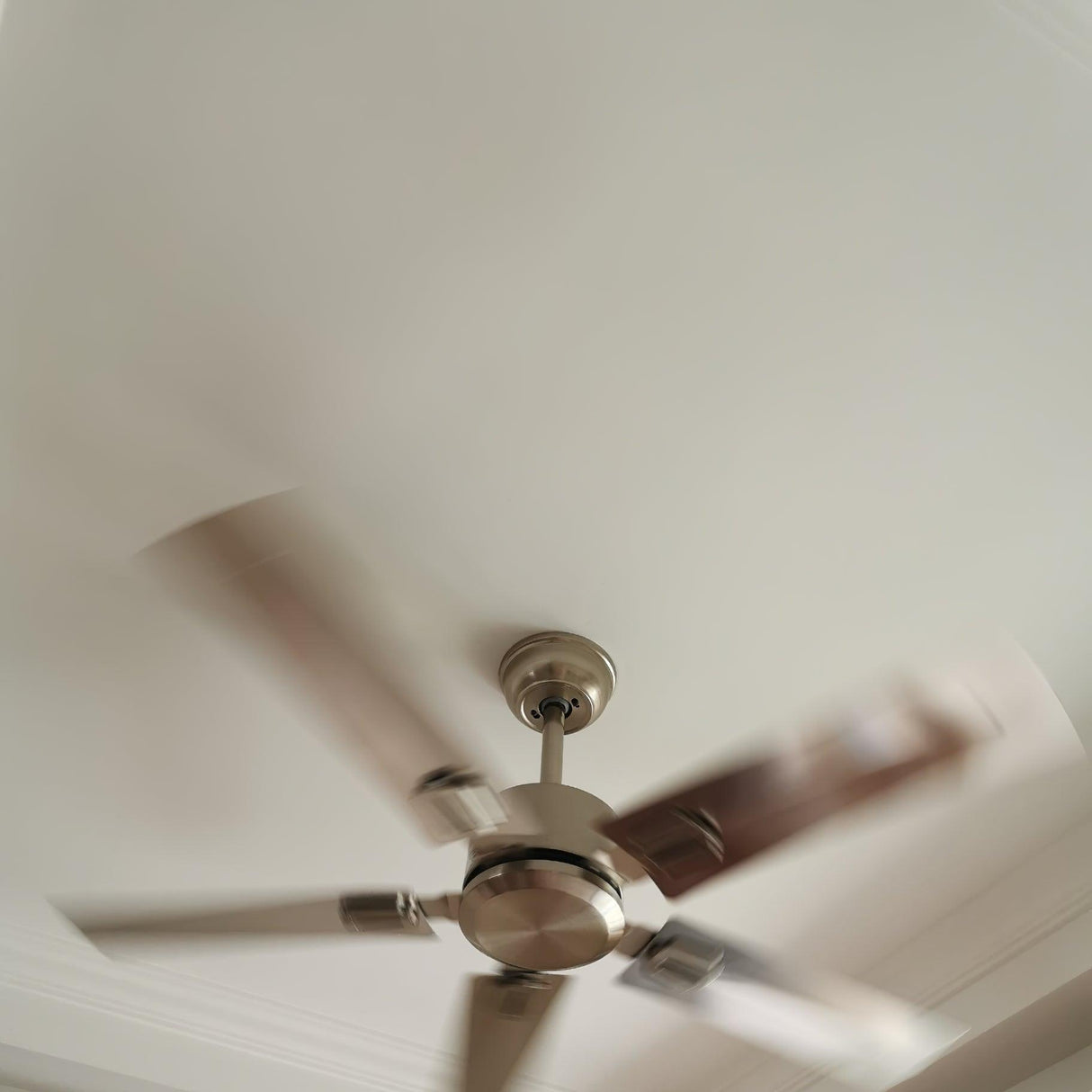 Rozzen Ceiling Fan 52″