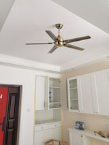 Rozzen Ceiling Fan 52″