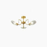 Shell Brass Ceiling Lamp