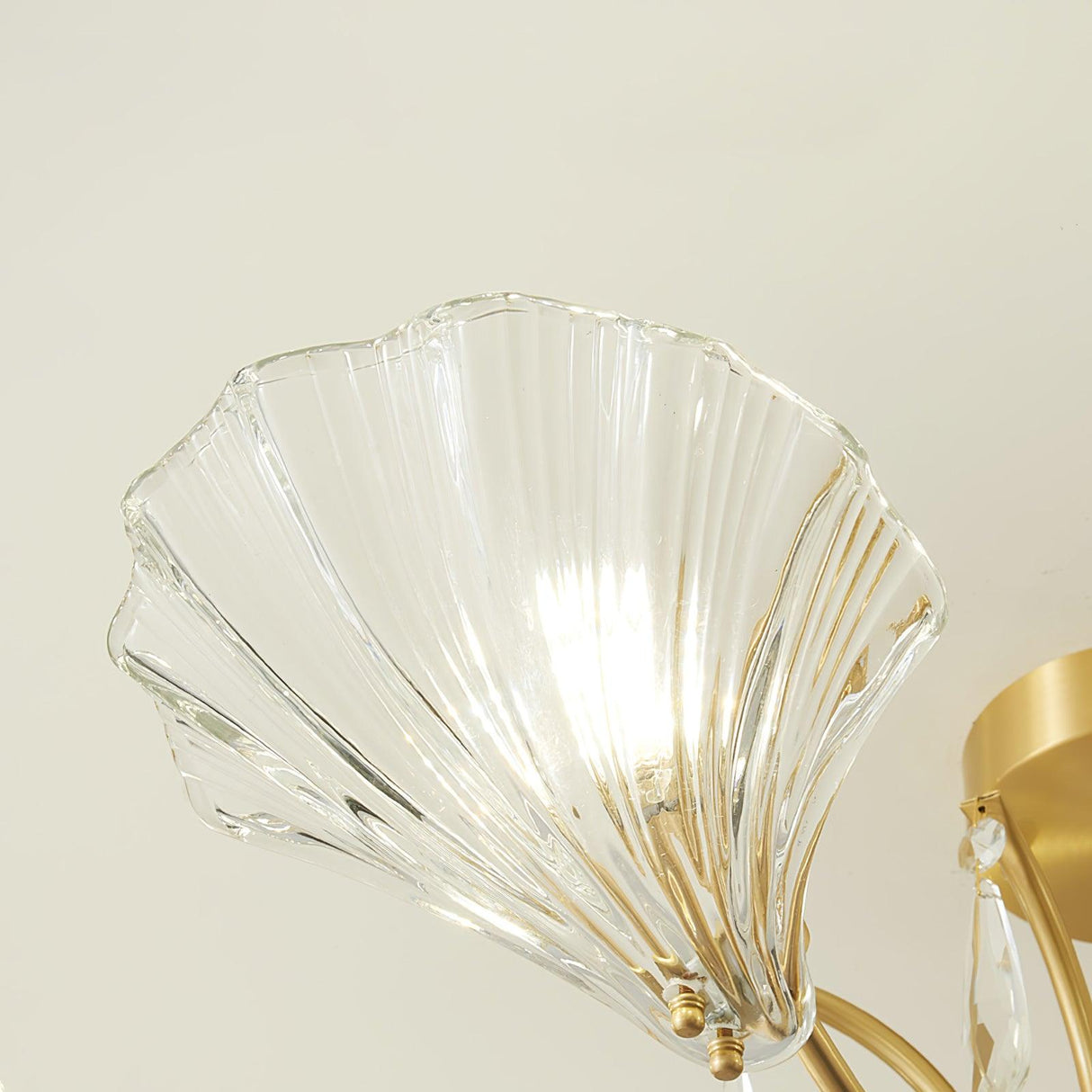 Shell Brass Ceiling Lamp