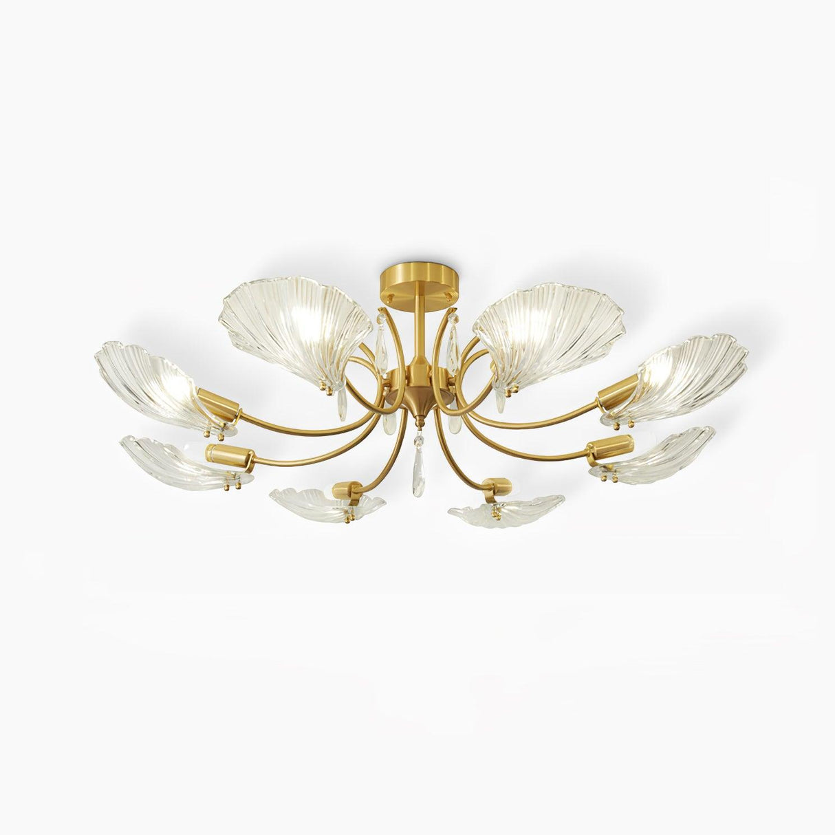 Shell Brass Ceiling Lamp