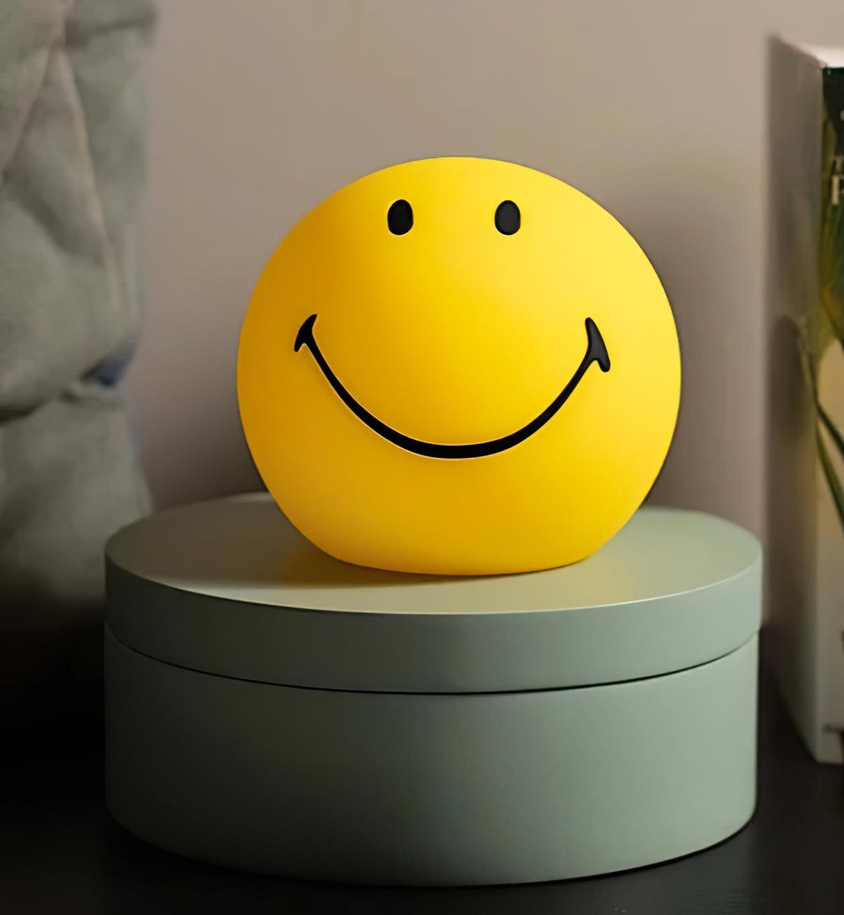 Smiling Rechargeable Built-in Battery Table Lamp