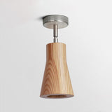 Track Ceiling Lamp