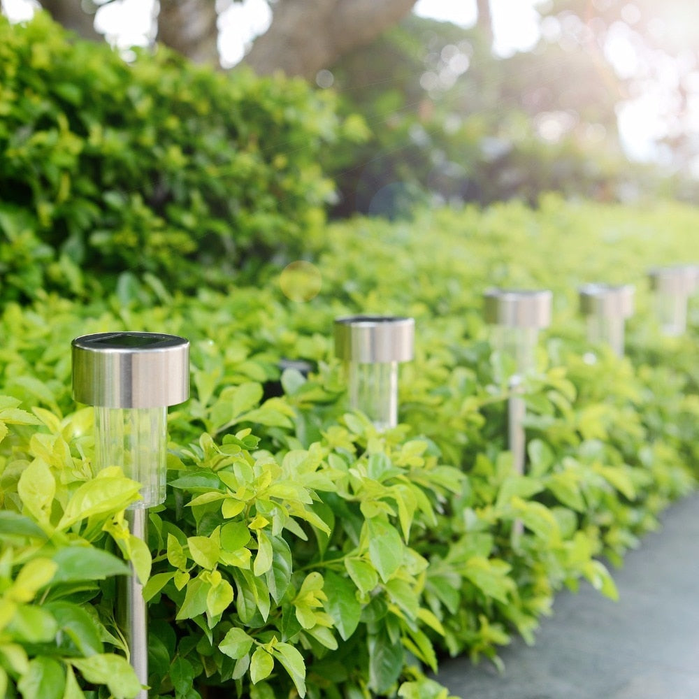 Modern Solar Pathway Lights