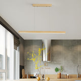 Slim LED Light Fixture