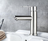 Modern Stainless Steel Bathroom Faucet