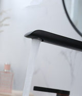 Modern Double Handle Bathroom Faucet