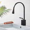 Redford - Modern Bathroom Faucet