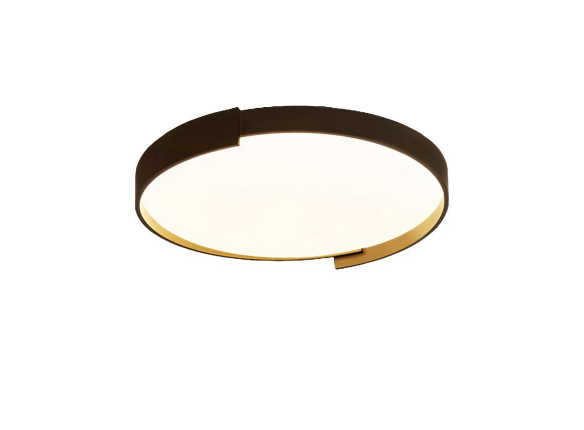 Modern Round LED Ceiling Light for Living Room, Dining Room, Study