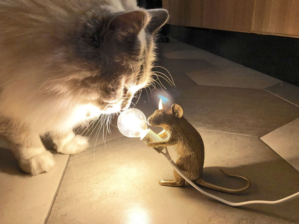 Lighting Mouse