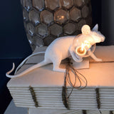 Lighting Mouse