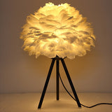 Skywalk Feather Lamp