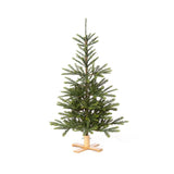 Park Hill Collection Tree Lot 5' Great Northern Spruce Pine Tree with Micro LED Lights XPQ90662