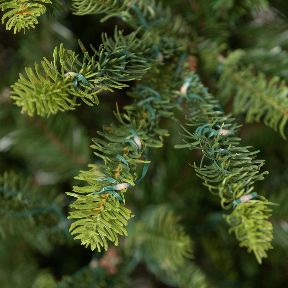 Park Hill Collection Tree Lot 5' Great Northern Spruce Pine Tree with Micro LED Lights XPQ90662