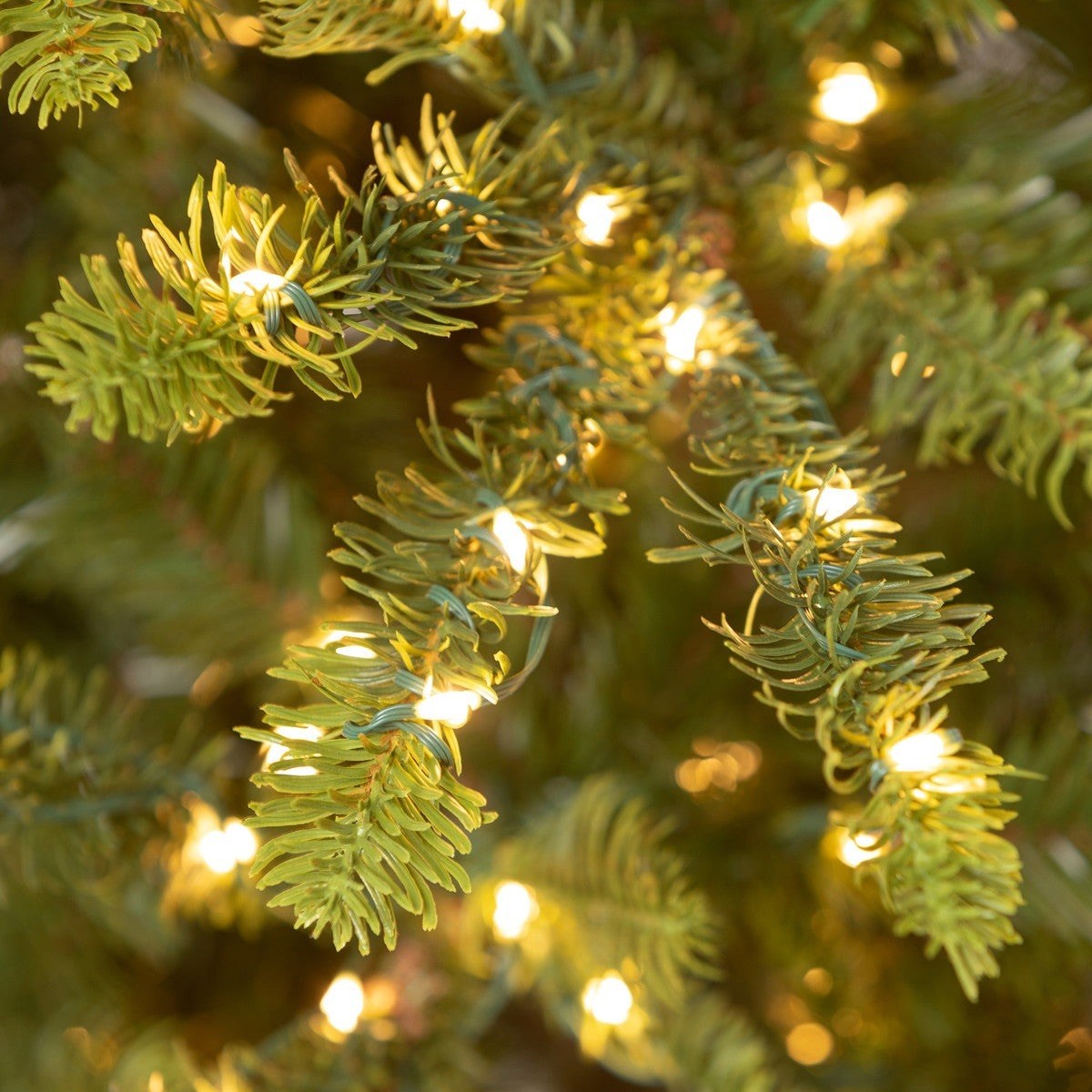 Park Hill Collection Tree Lot 9' Great Northern Spruce Tree with Micro LED Lights XPQ90664