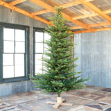 Park Hill Collection Tree Lot 9' Great Northern Spruce Tree with Micro LED Lights XPQ90664