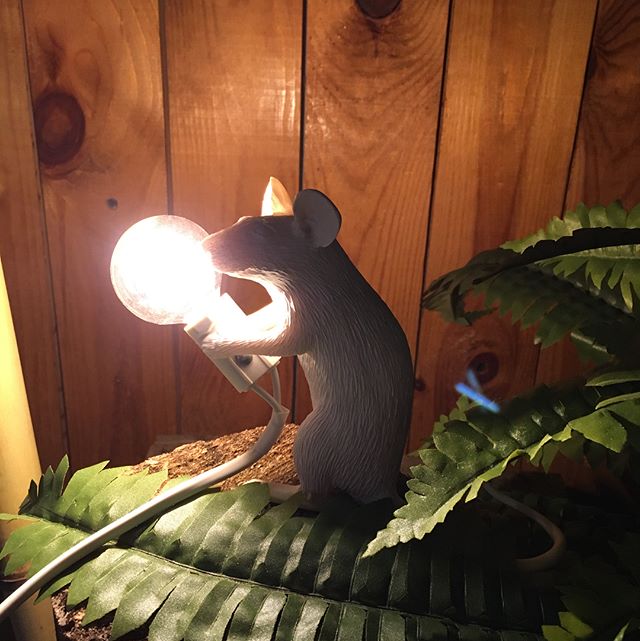 Lighting Mouse