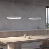 Pi LED Pendant Light